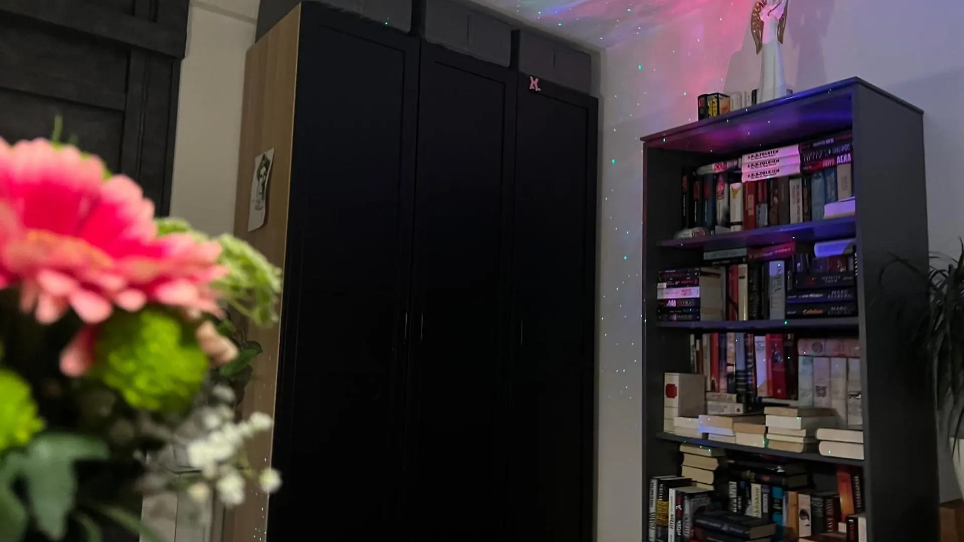 Lägenhet City-Penthouse Mit 4 Terassen Und Whirlpool Wien